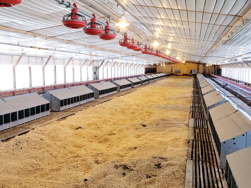 2 House Poultry Breeder Farm : Blackville : Barnwell County : South Carolina