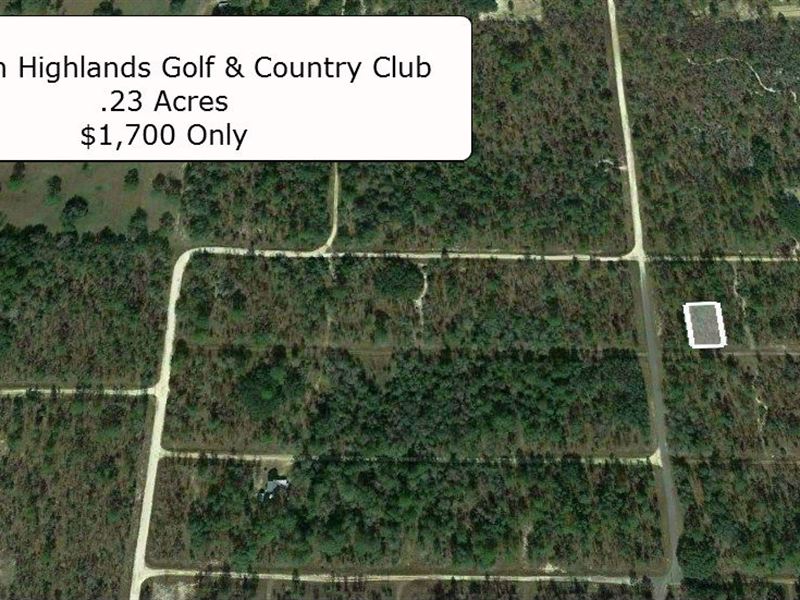 Rare .23 Acre Exclusive Vacant Lot : Williston : Levy County : Florida