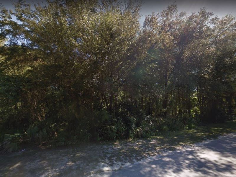 .26 Acres for Sale in Dunnellon : Dunnellon : Marion County : Florida