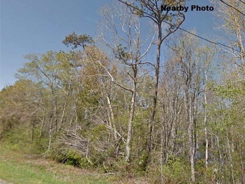 .24 Acre in Hampstead, Nc +A13-11 : Hampstead : Pender County : North Carolina