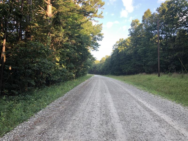 15.8 Ac, Cleburne County, Quitman : Quitman : Cleburne County : Arkansas