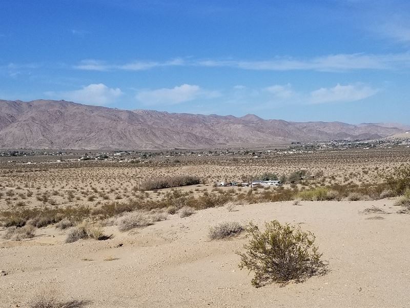 Beautiful Scenic View Lot, $175 P/M : Twentynine Palms : San Bernardino County : California