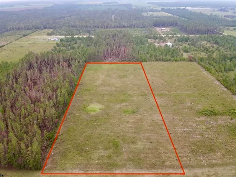 5-Acres on NE Lydee Way : Lee : Madison County : Florida