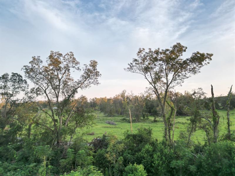 19.43 AC in Live Oak FL : Live Oak : Suwannee County : Florida