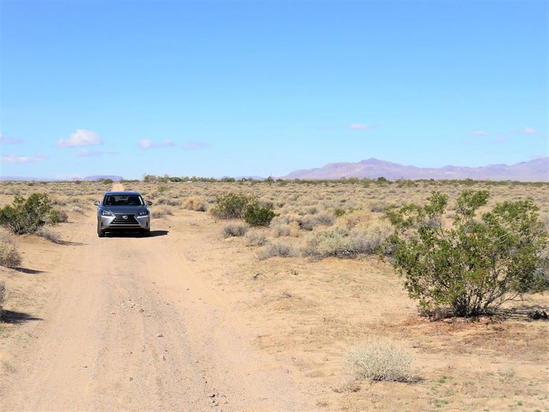 Awesome & Affordable, Ag/Res Land : Newberry Springs : San Bernardino County : California