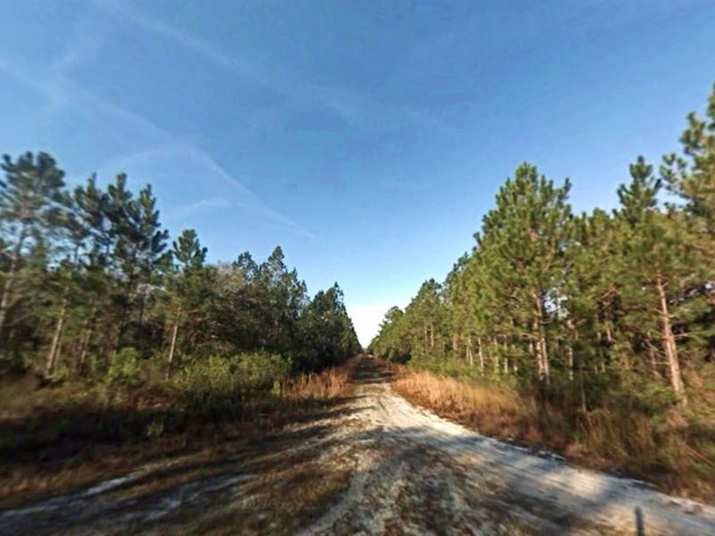 Secluded Escape Or Investment $99Dn : Bunnell : Flagler County : Florida