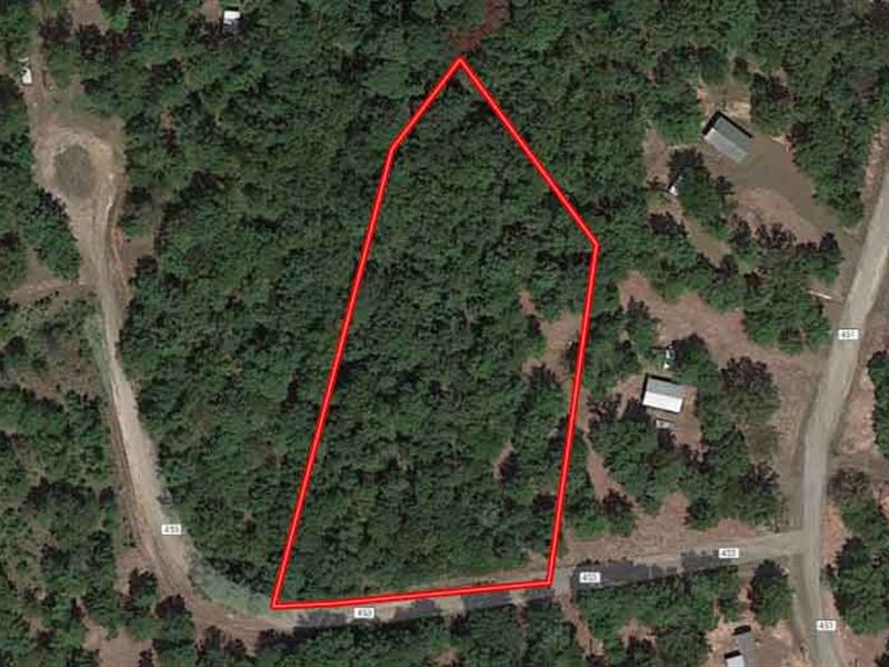 Unrestricted On Lake Sam Rayburn, Lot for Sale by Owner in Texas