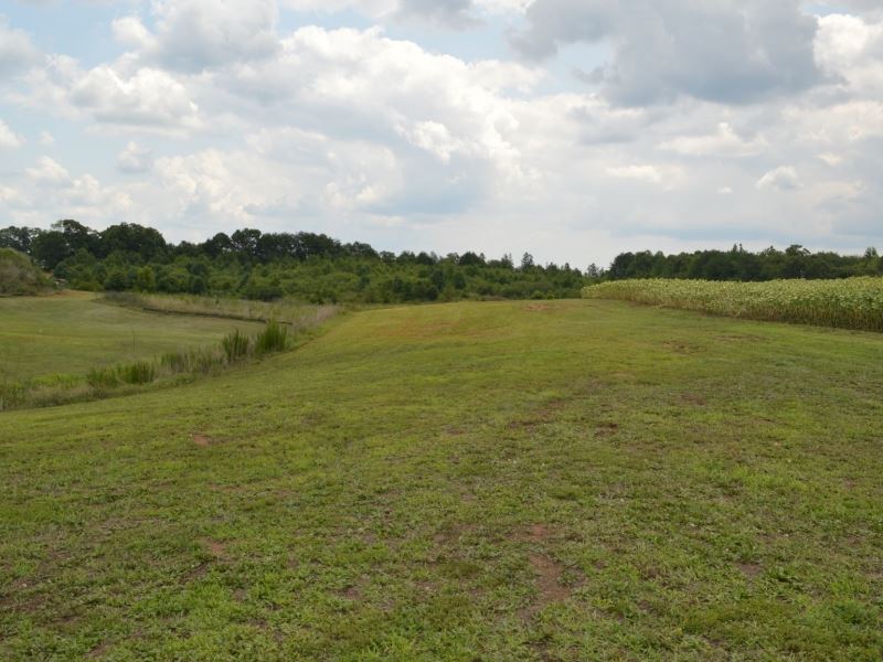 12.59 Level Acres On Welpine Roa : Pendleton : Anderson County : South Carolina