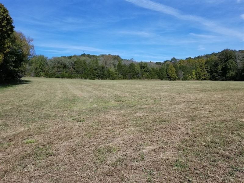 9.35 Ac Residential Land Linden TN : Clifton : Perry County : Tennessee