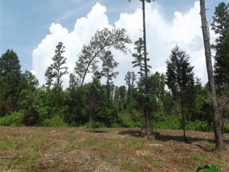 Private Acreage, Large Clearing : Drury : Ozark County : Missouri