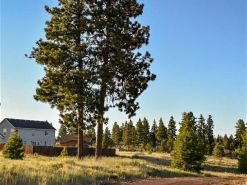 Build Your Dream Home, $249/ Month : Chiloquin : Klamath County : Oregon