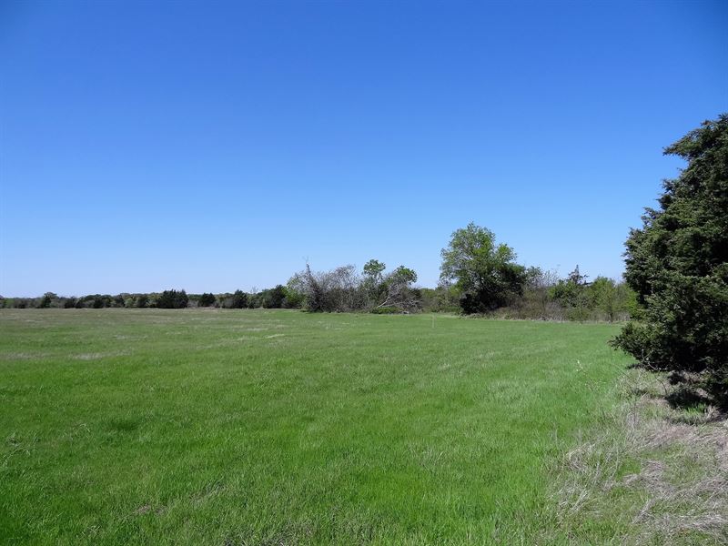 16.31 Acres in Tx, Owner Financing : Wills Point : Van Zandt County : Texas