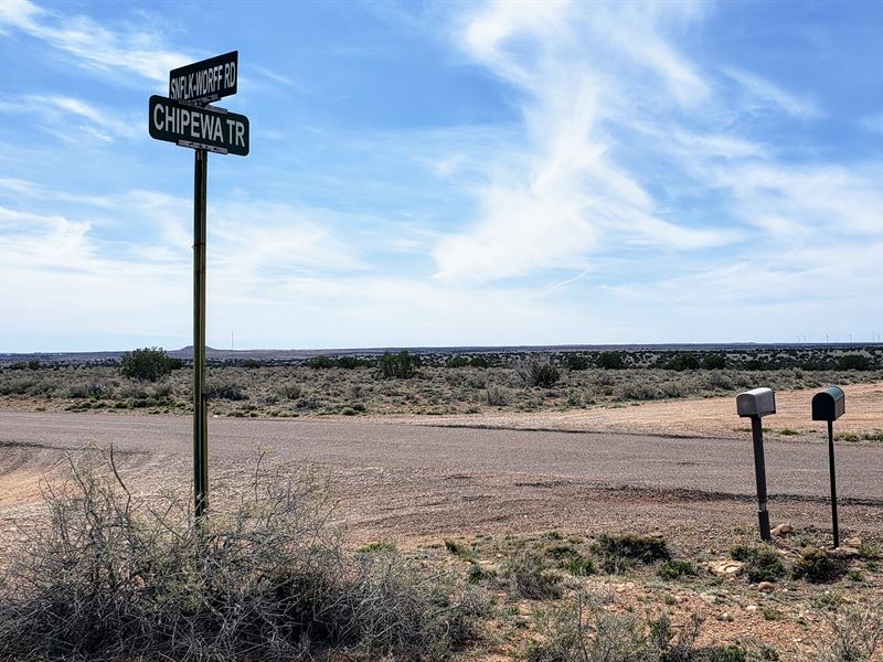 Nice, Paved Access, Views $288/Mo : Snowflake : Navajo County : Arizona