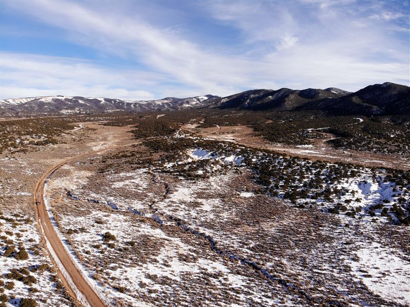 Trees, Meadows, Road Access, $199/M : Fort Garland : Costilla County : Colorado