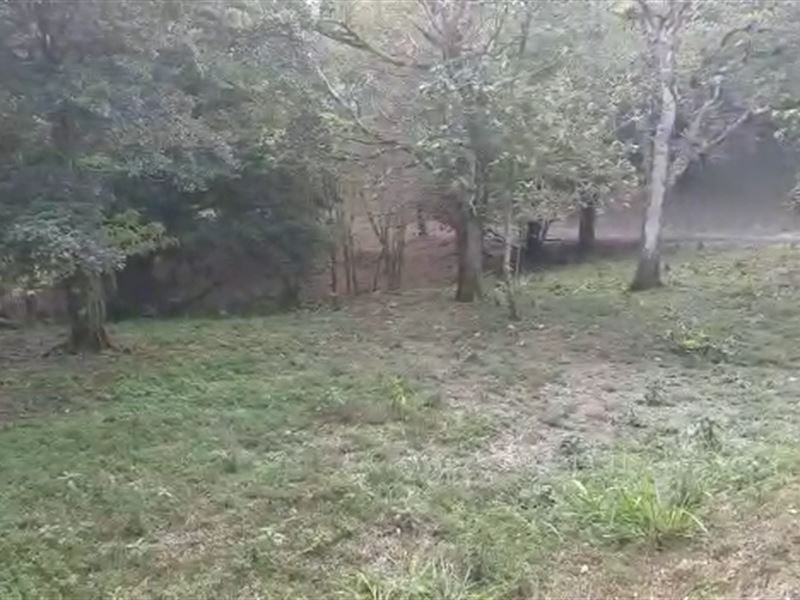 Lot in Altos Del Maria Panama : Panama