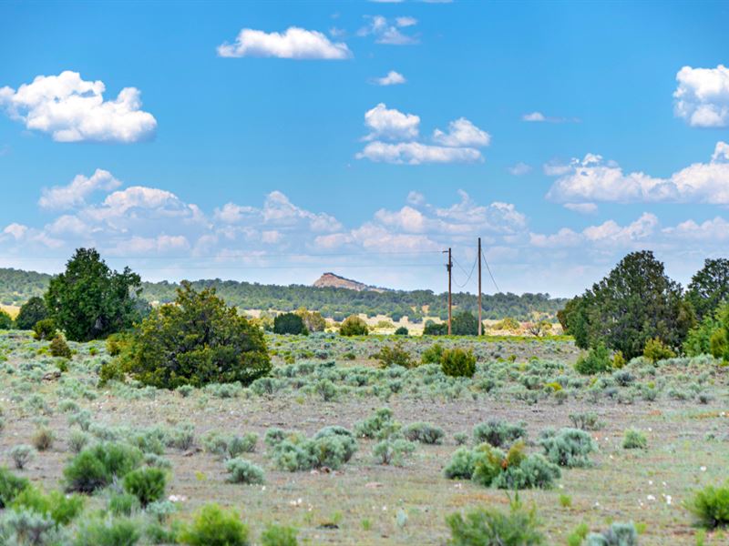 $499 Down & $249 Per Month : Ramah : Cibola County : New Mexico