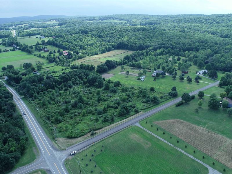 Lightly-Wooded Building Lot : Canandaigua : Ontario County : New York