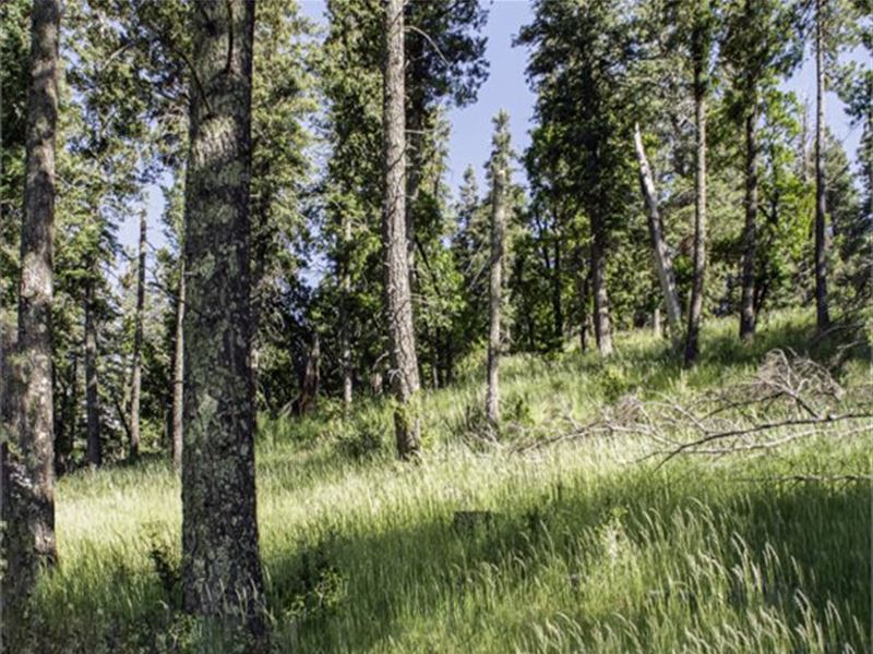 Cloudcroft, Otero County, Nm : Cloudcroft : Otero County : New Mexico