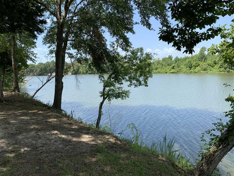 Waterfront Lot on The Tombigbee RI, Lot for Sale in Alabama, 213318