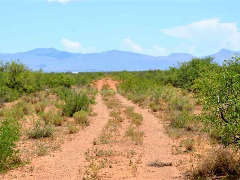 Nice Lot, Med Cannabis Approved : Sunizona : Cochise County : Arizona