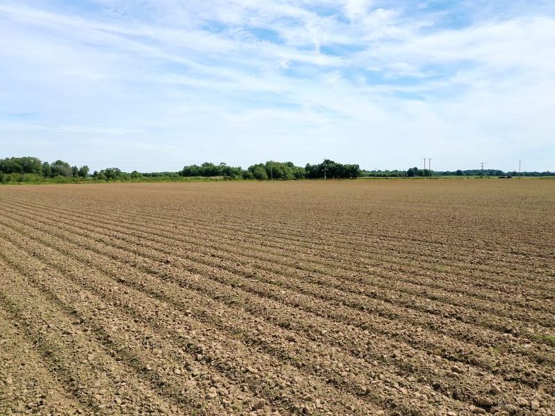 10 Acres in Beulah, AR : Beulah : Prairie County : Arkansas