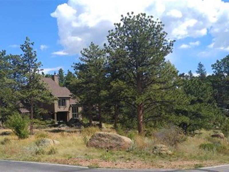 Level Building Lot Golf Community : Red Feather Lakes : Larimer County : Colorado
