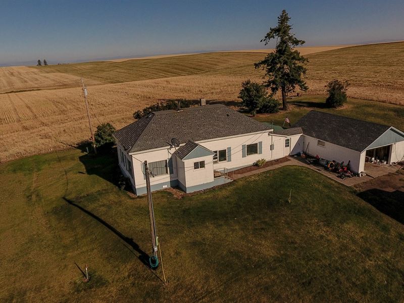 Country Home Craigmont, ID Private : Craigmont : Idaho County : Idaho