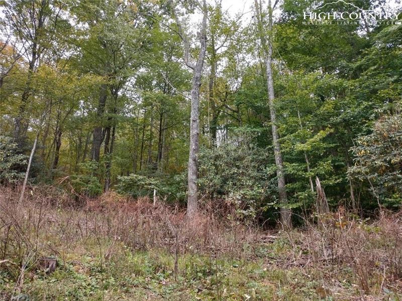 Wooded Lot in Grayson County : Independence : Grayson County : Virginia