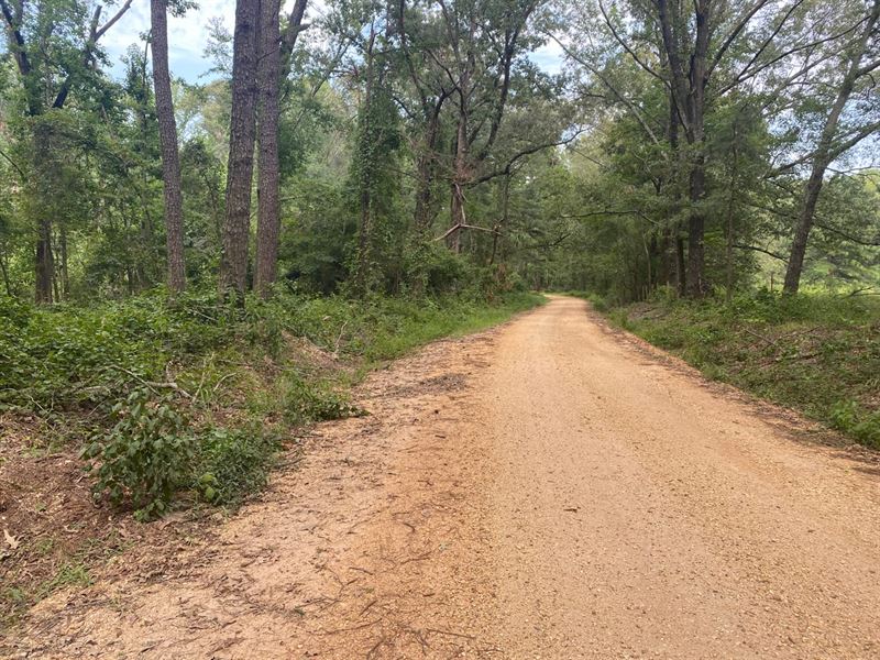 Shade Grove 20 : Rison : Cleveland County : Arkansas
