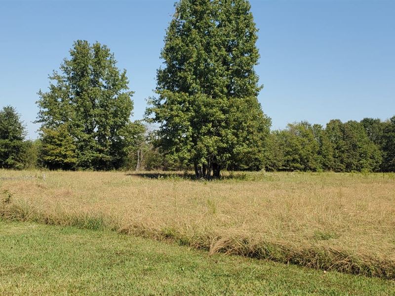 Rural Land, Grass and Trees 3 Ac : Hazen : Prairie County : Arkansas