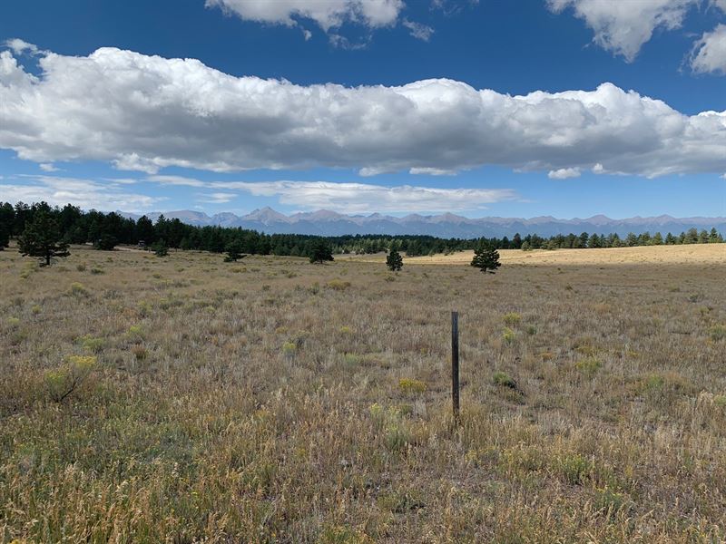 5+ Acres in Eastcliffe Subdivison : Westcliffe : Custer County : Colorado