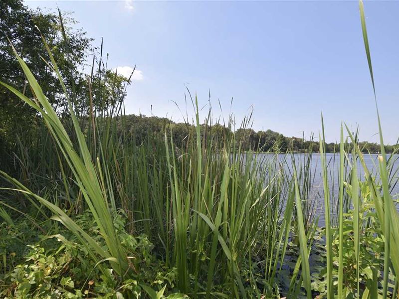 2 Raymond Gary Lake Lots with Lake : Fort Towson : Choctaw County : Oklahoma