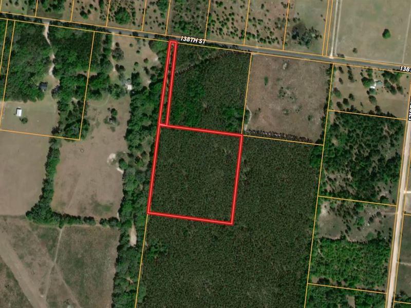 10 Acres in Live Oak, Lot 1 : Live Oak : Suwannee County : Florida