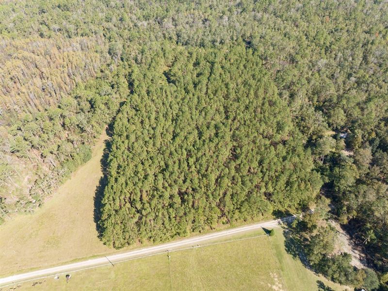 NW 28th St : Jennings : Hamilton County : Florida