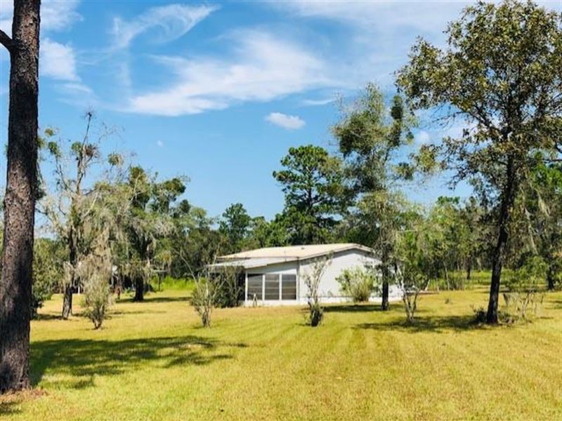 2/2 Mh On 5 Ac 778696 : Morriston : Levy County : Florida