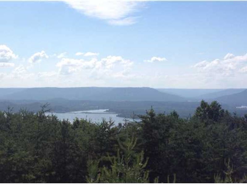 2.8+/- Acres Lake Mtn View Property : South Pittsburg : Marion County : Tennessee