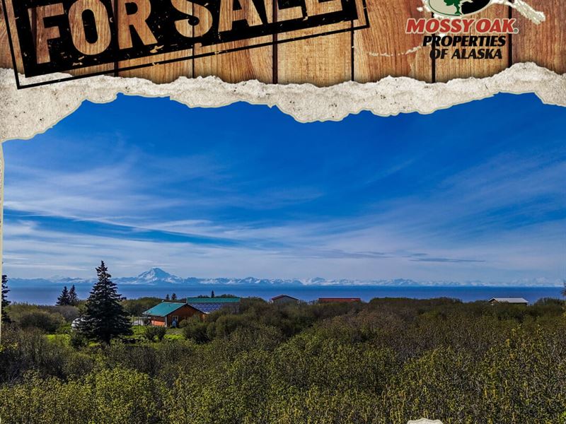 Highway View Lot : Ninilchik : Kenai Peninsula Borough : Alaska