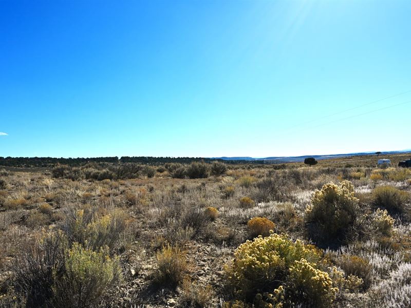 Rancho Del Vado Lot 62 : Tierra Amarilla : Rio Arriba County : New Mexico
