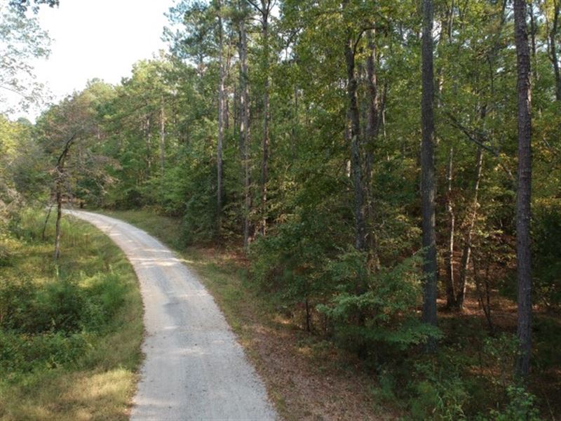 5.45 Acres, Richland County, Sc : Blythewood : Richland County : South Carolina