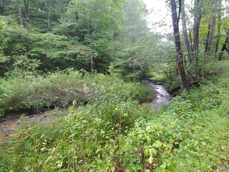 Secluded Land Grayson County VA : Fries : Grayson County : Virginia