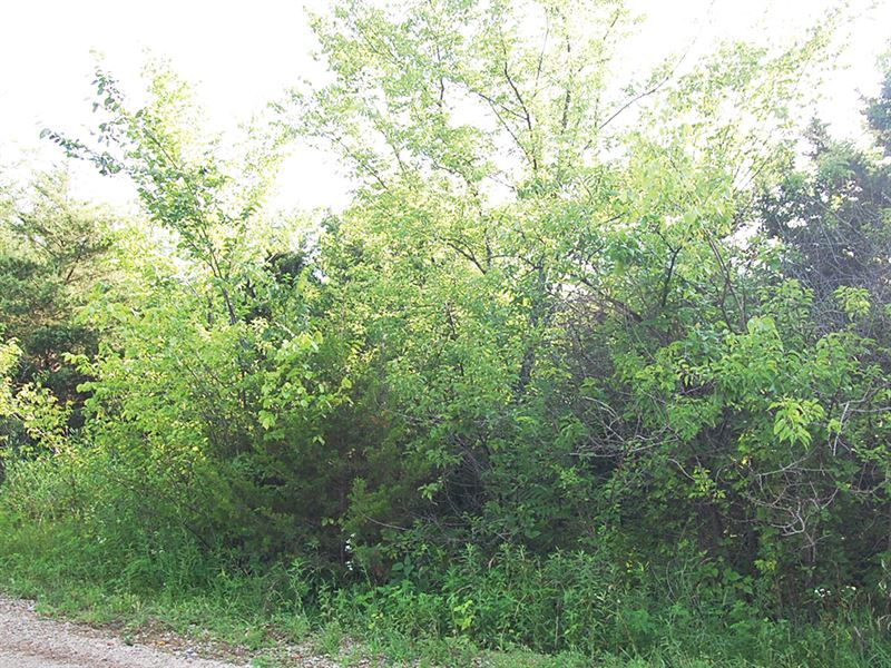 Perfect Lot in Tanglewood Lake : La Cygne : Linn County : Kansas