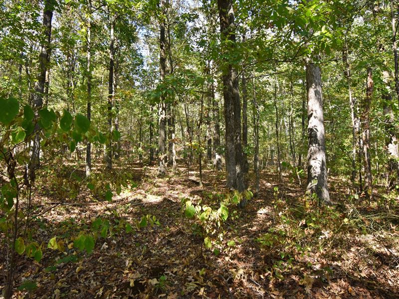 Vacant Land Near Interstate 40 : Waverly : Humphreys County : Tennessee