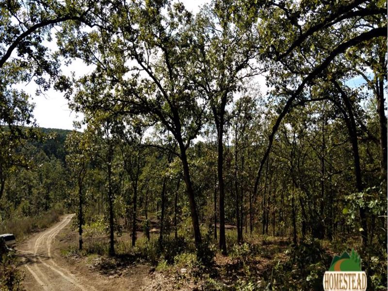 Ozark Mountain Views From Your New : Rockbridge : Douglas County : Missouri