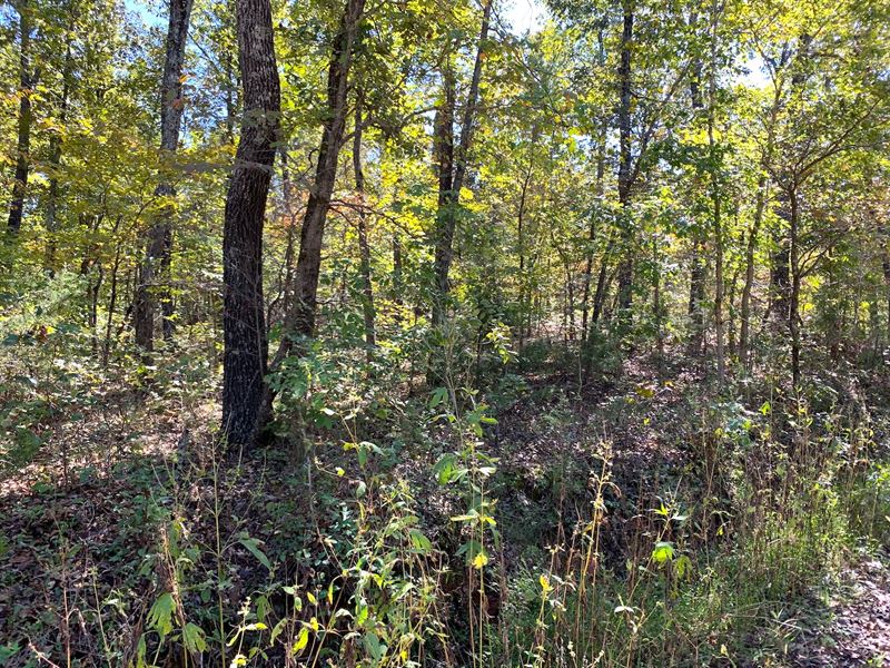 Land for Sale in Fulton County, Ar : Hardy : Fulton County : Arkansas