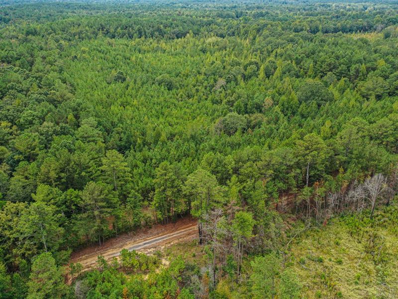Whitetail Getaway 15 Acres : Carthage : Leake County : Mississippi
