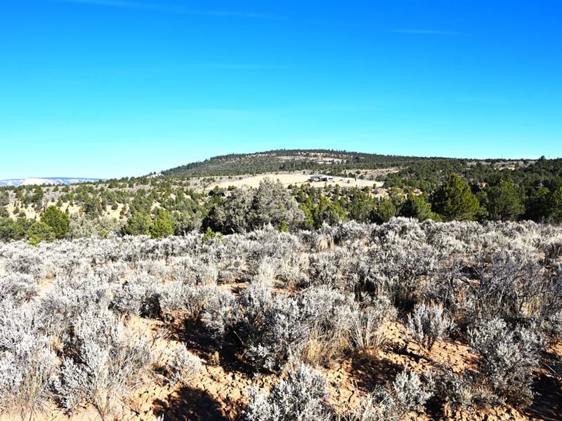 Rancho Del Vado Lot 294 : Tierra Amarilla : Rio Arriba County : New Mexico