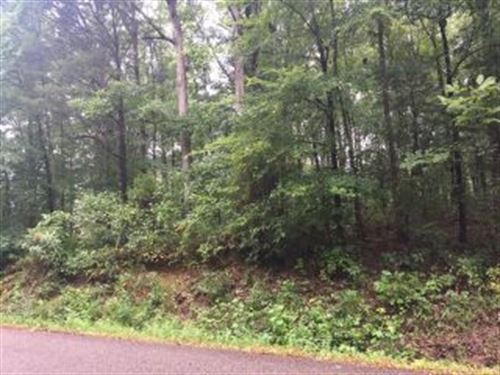 Lot With 2 Lakes : Camden : Benton County : Tennessee