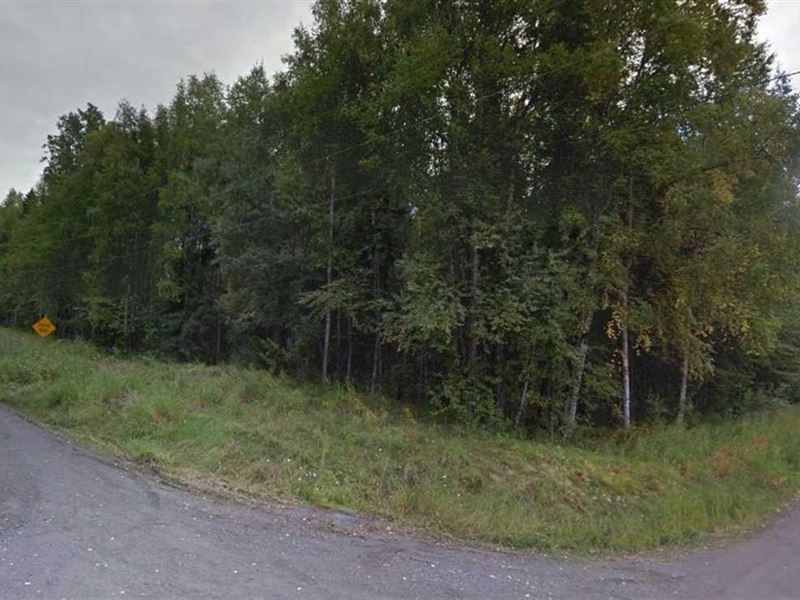 Nice 1 Acre Lot, Peace & Tranq : Wasilla : Matanuska-Susitna Borough : Alaska