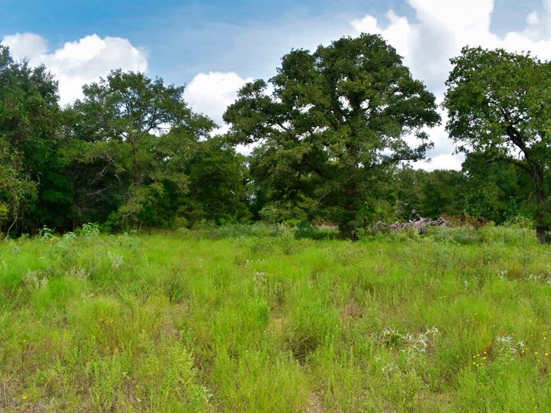 15.4 Acres South Of Austin : Red Rock : Bastrop County : Texas