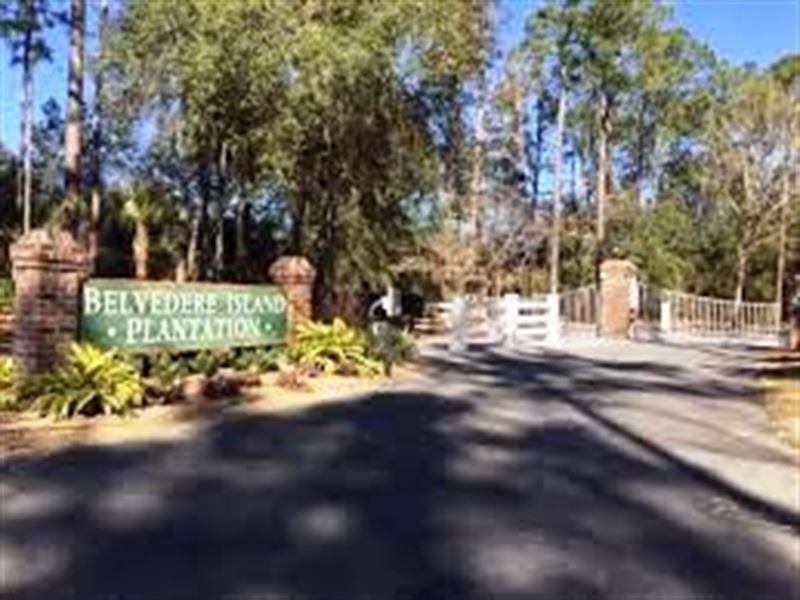 Belvedere Island Plantation : Darien : McIntosh County : Georgia